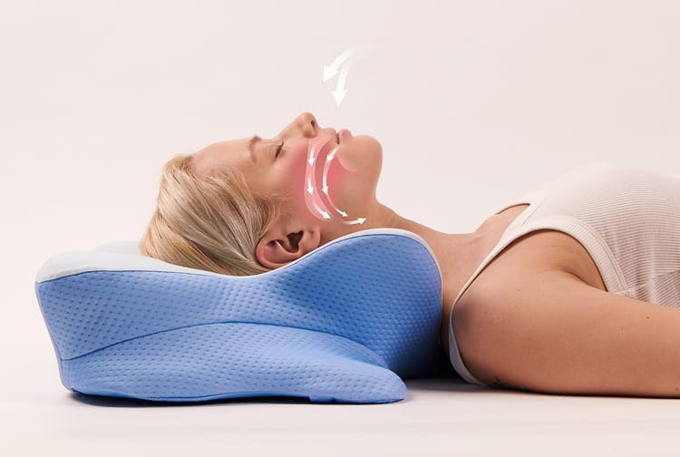 Derila Ergo Memory Foam Pillow